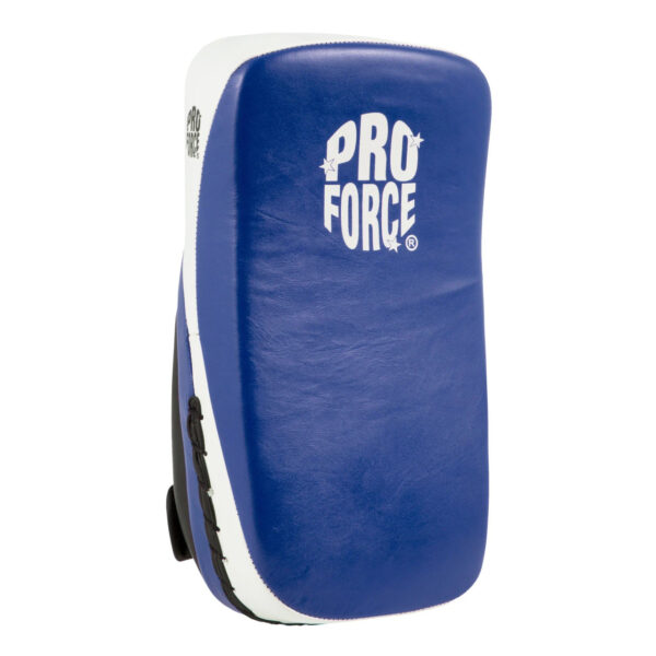 Curved Thai Pads